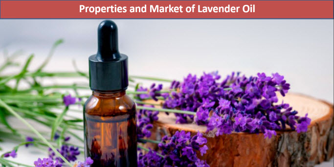 Lavender Oil